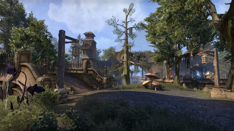 The Elder Scrolls Online: Morrowind (PC) 5055856414544