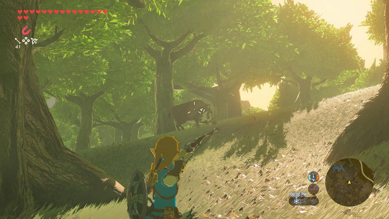 The Legend of Zelda: Breath of the Wild (Nintendo Switch 2 Edition) 045496312664