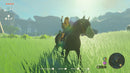 The Legend of Zelda: Tears of the Kingdom (Nintendo Switch 2 Edition) 045496312572