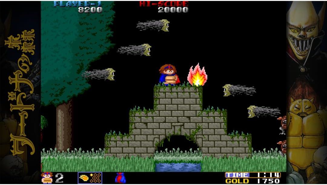 Toaplan Arcade Garage: Flying Fire Shark (Nintendo Switch) 7350002937303