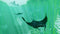 ABZU (PC) d602d6f5-91ea-4ff2-a91c-6c0cfb69e1ce