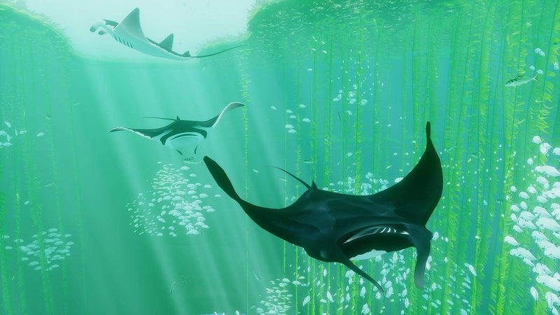 ABZU (PC) d602d6f5-91ea-4ff2-a91c-6c0cfb69e1ce