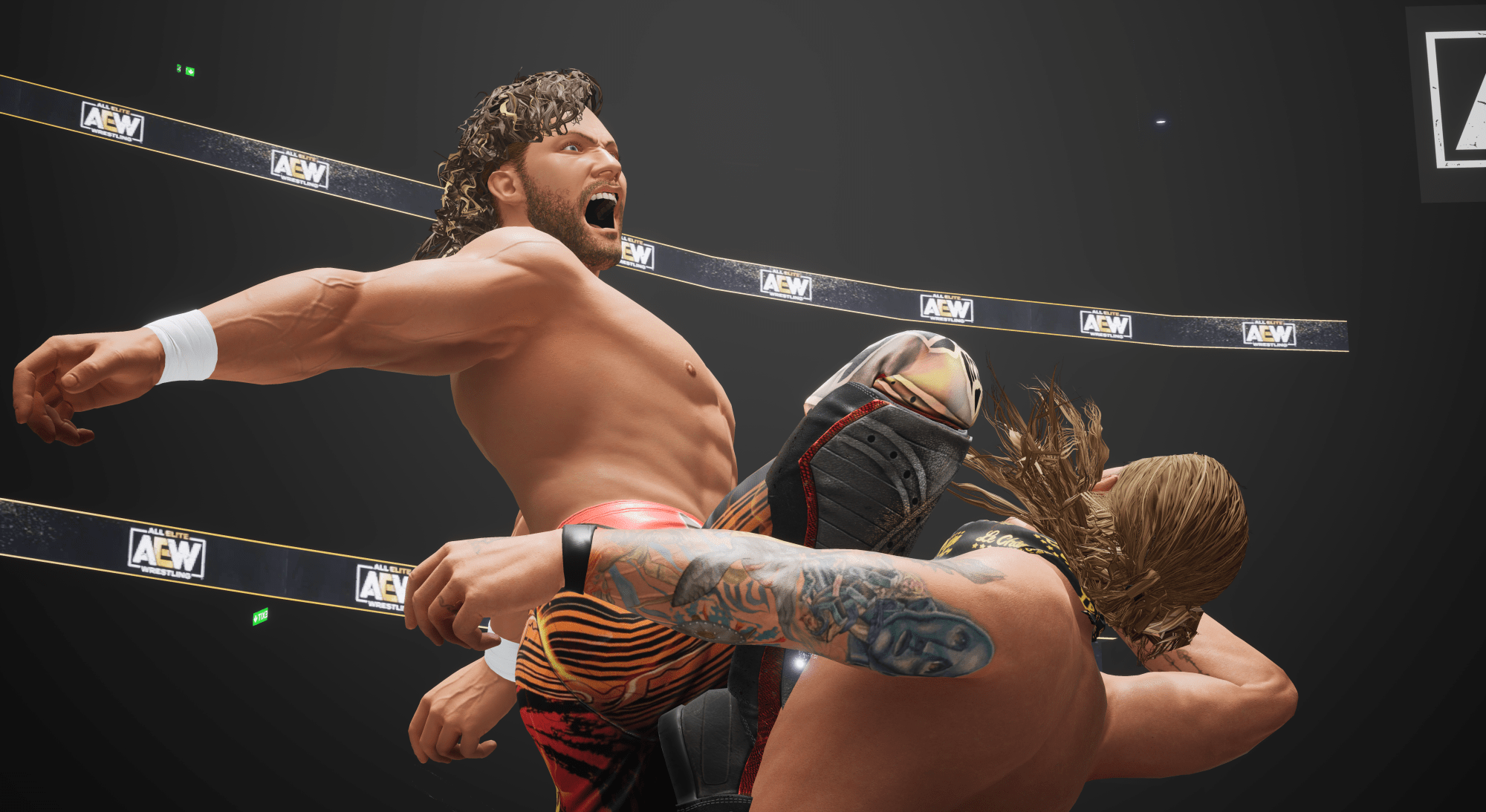 AEW: Fight Forever (Playstation 4) 9120080078469