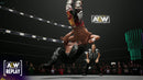 AEW: Fight Forever (Playstation 5) 9120080078377