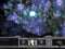 Age of Wonders Shadow Magic (PC) a8533df1-81f1-4809-9323-1bbd24f39584