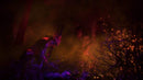 Agony (PS4) 4020628774226