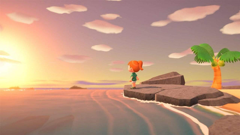 Animal Crossing: New Horizons (Nintendo Switch) 045496425449