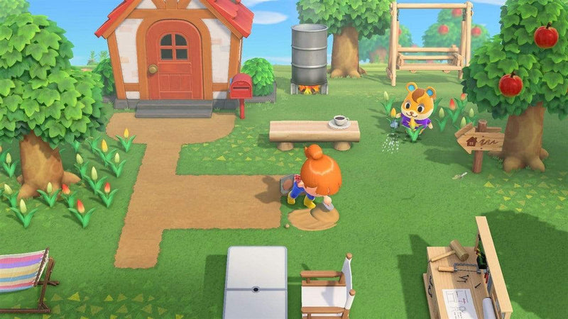 Animal Crossing: New Horizons (Nintendo Switch) 045496425449