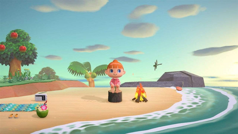 Animal Crossing: New Horizons (Nintendo Switch) 045496425449