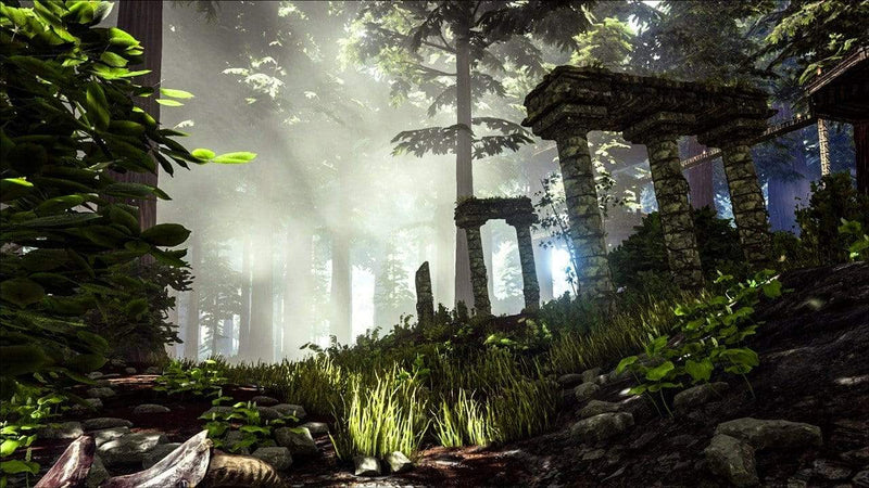 ARK: Survival Evolved (PC) 0884095178352