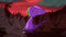 Baobabs Mausoleum: Country of Woods and Creepy Tales (Nintendo Switch) 8436016710749