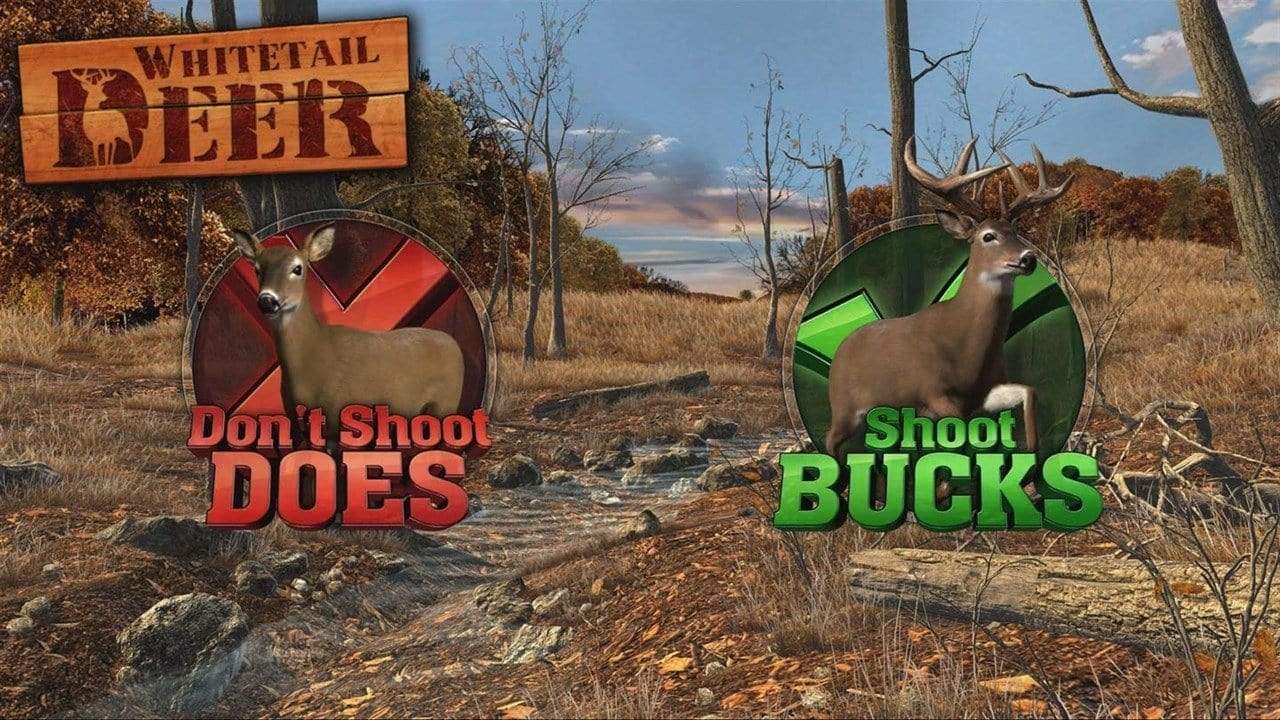 Big Buck Hunter Arcade (Nintendo Switch) 5016488131704