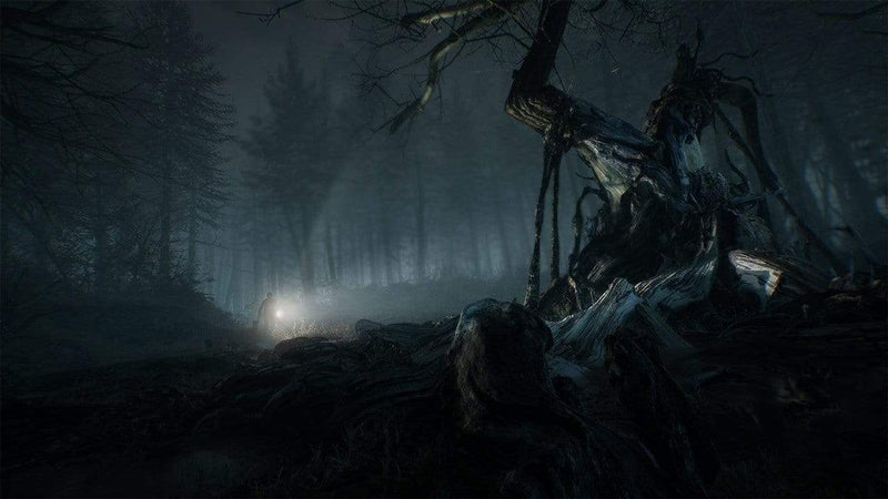 Blair Witch (PS4) 4020628730260
