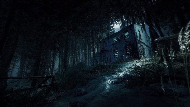 Blair Witch (PS4) 4020628730260