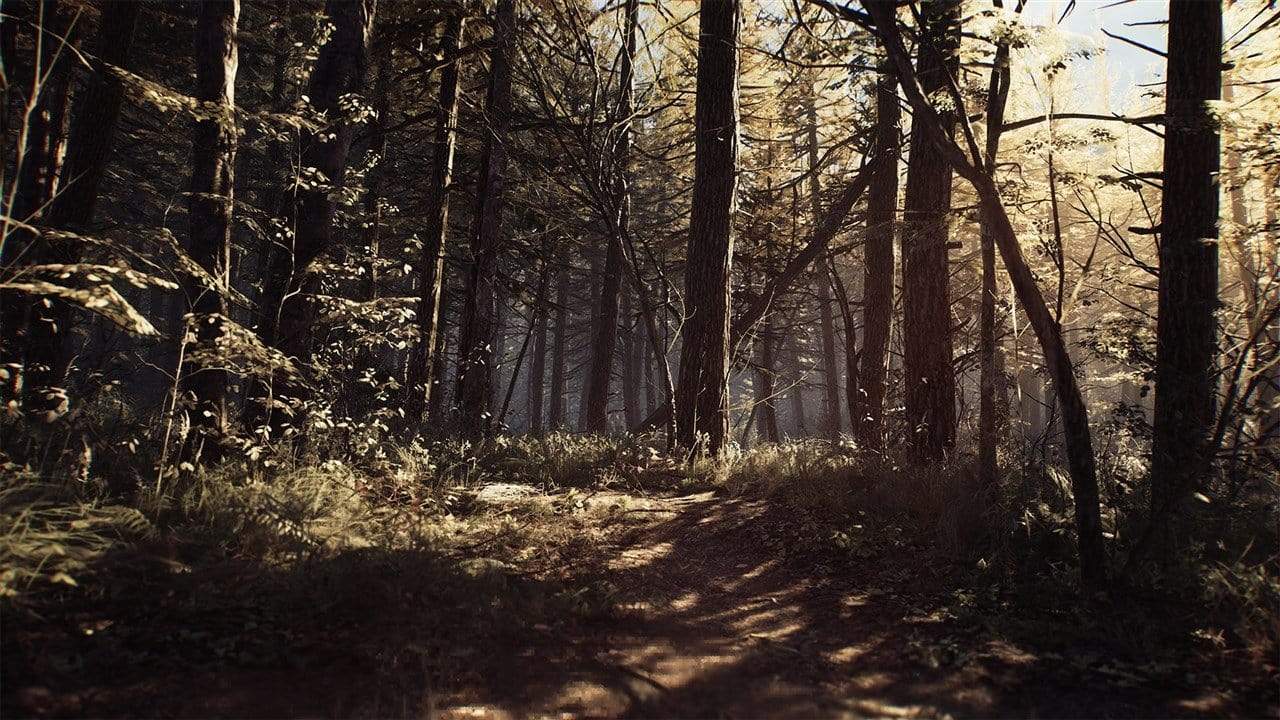 Blair Witch (Xbox One) 4020628730253