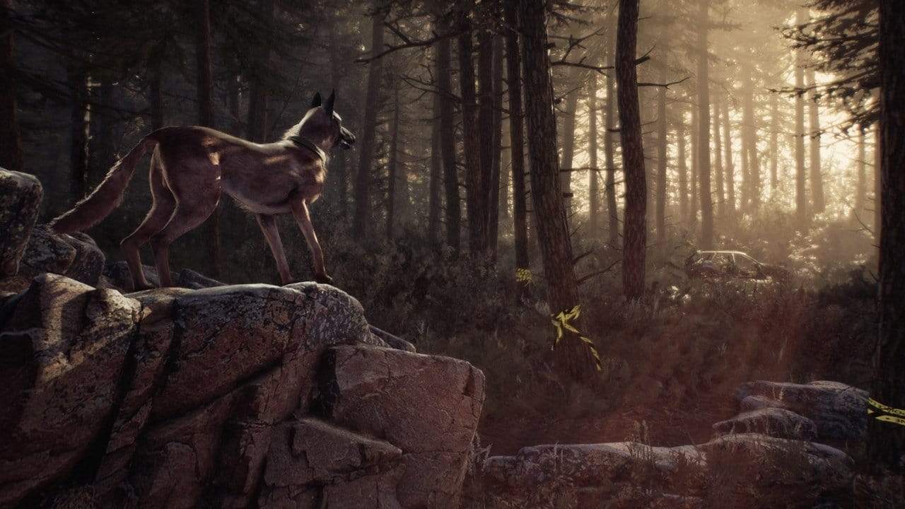 Blair Witch (Xbox One) 4020628730253