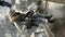 Call of Duty: Black Ops (PS3) 5030917111549