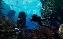 Call of Duty: Ghosts (playstation 4) 5030917126178