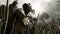 Call of Duty: Ghosts (playstation 4) 5030917126178