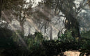 Call of Duty: Ghosts (playstation 4) 5030917126178