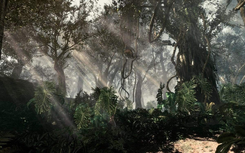 Call of Duty: Ghosts (playstation 4) 5030917126178