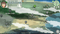 Ciel Fledge : A Daughter Raising Simulator (PC) ecaf396b-893e-48cf-b4b3-dc9e78cde622