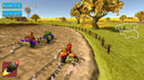 Crazy Chicken Kart 2  (Nintendo Switch) 8720256139720