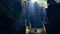 Dark Souls: Remastered (PS4) 3391891997454