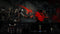 Darkest Dungeon: Ancestral Edition (PS4) 5060264372003