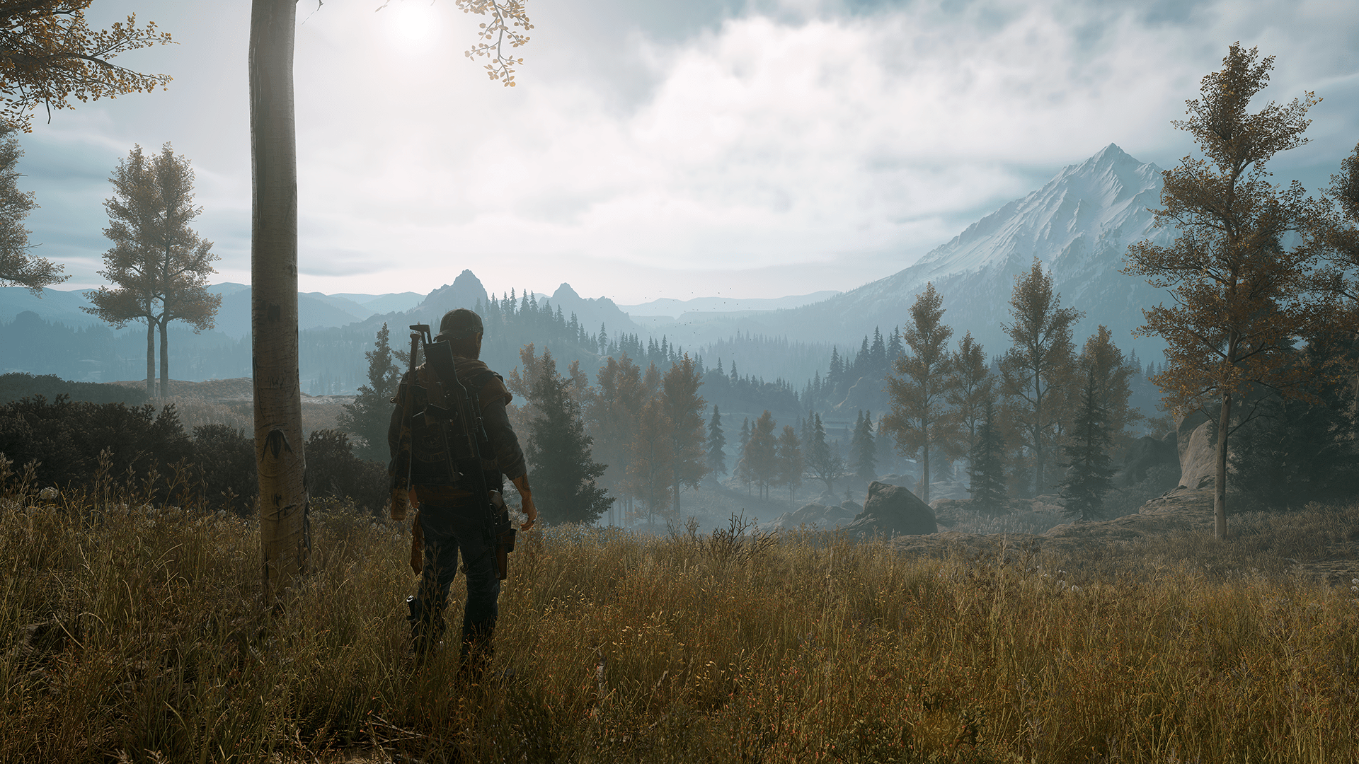 Days Gone 45dfefef-d11a-4b92-ac56-56d69634d860