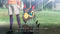 Digimon Survive (Nintendo Switch) 3391892001785