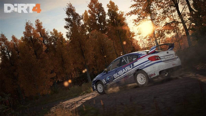 Dirt 4 (PS4) 4020628788032