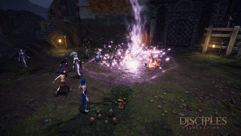 Disciples: Liberation - Deluxe Edition (PC) 4020628678739