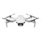 DJI MINI 2 FLY MORE COMBO 6941565905178