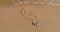 DJI MINI 2 FLY MORE COMBO 6941565905178