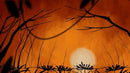 Don't Disturb (PC) 1fa78b68-1617-4fe7-9e9f-7f9573df12a8