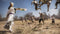 Dynasty Warriors 9 (Playstation 4) 5060327534195