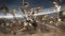 Dynasty Warriors 9 (Playstation 4) 5060327534195