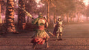 Dynasty Warriors 9 (Playstation 4) 5060327534195