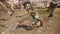 Dynasty Warriors 9 (Playstation 4) 5060327534195