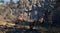 Elex II - Collector's Edition (PC) 9120080077301