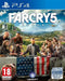Far Cry 5 (PS4) 3307216016595