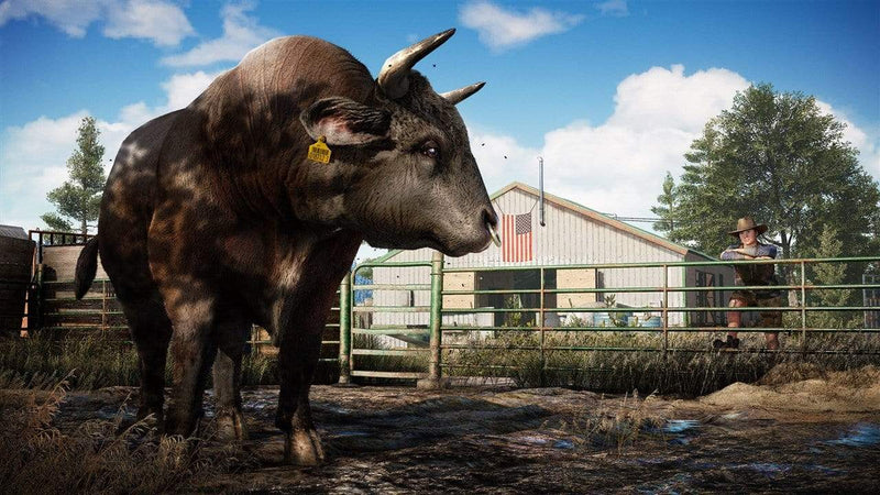 Far Cry 5 (PS4) 3307216023197