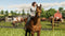Farming Simulator 19 - Premium Edition (Xbox One) 3512899123243