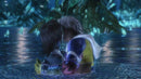 Final Fantasy X/X-2 HD Remaster (Switch) 5021290083684