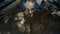 Final Fantasy XV (xbox one) 5021290073043