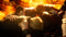Final Fantasy XV (xbox one) 5021290073043
