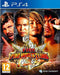 Fire Pro Wrestling World (PS4) 4020628758929