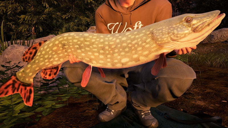 Fishing Sim World®: Pro Tour – Jezioro Bestii (PC) b93b3861-8077-4ff3-a5f4-577cd8d4f3dc