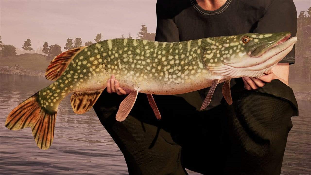 Fishing Sim World (PS4) 5016488131902